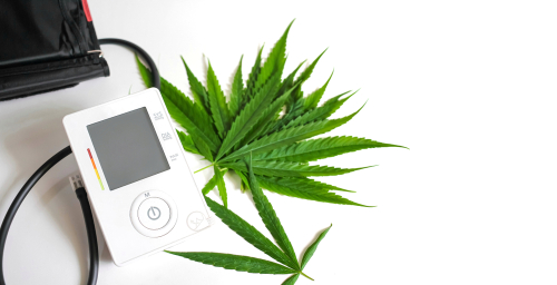 Can CBD lower blood pressure